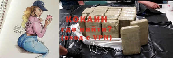 бошки Лагань