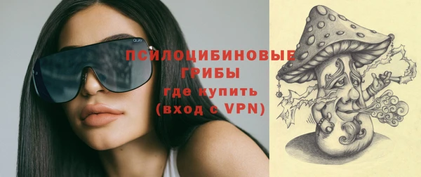 скорость Ладушкин