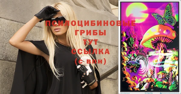 скорость Ладушкин