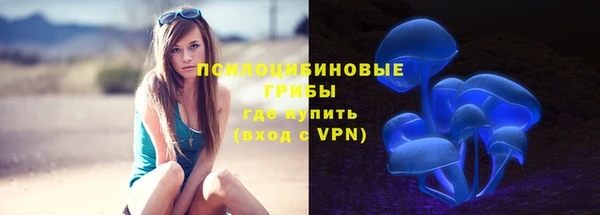 ГАЛЛЮЦИНОГЕННЫЕ ГРИБЫ Липки