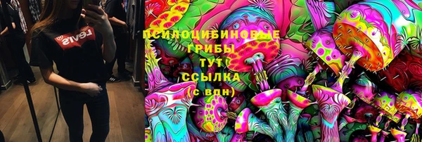 бошки Лагань