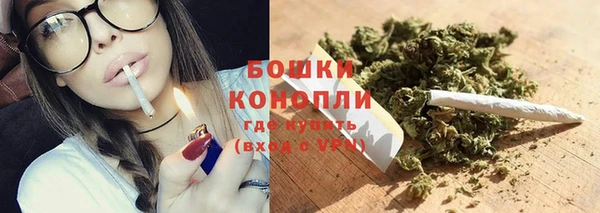 ГАЛЛЮЦИНОГЕННЫЕ ГРИБЫ Липки