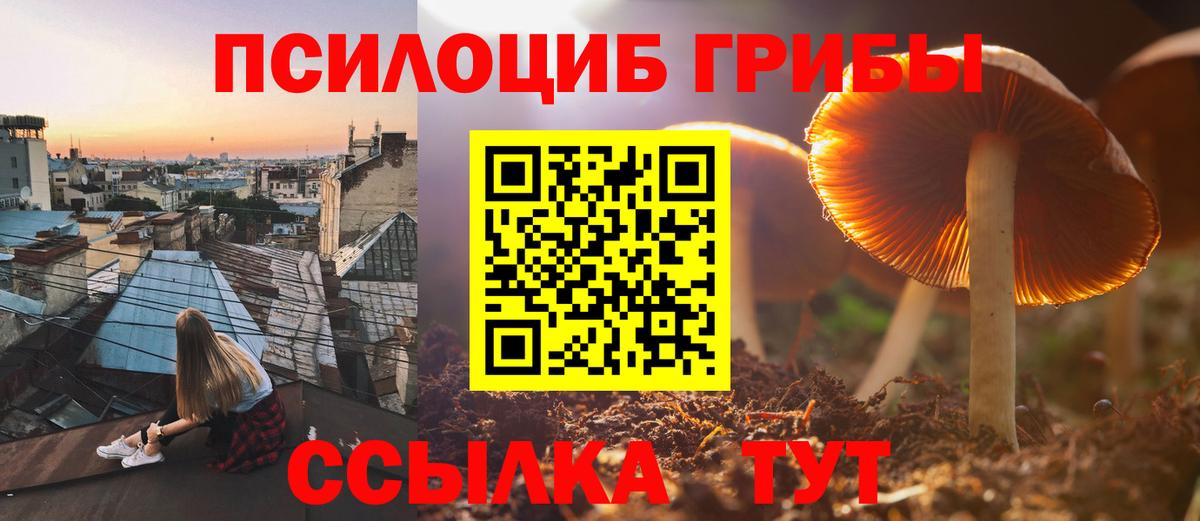 продажа наркотиков  Псилоцибиновые грибы Psilocybe  Вход с VPN  Тихорецк 