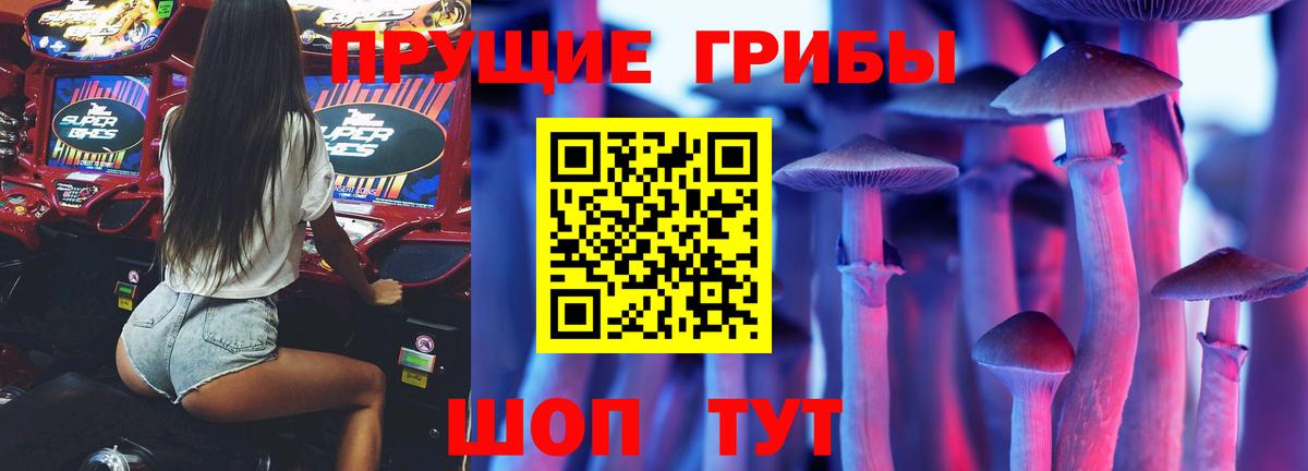 Псилоцибиновые грибы ЛСД Тихорецк